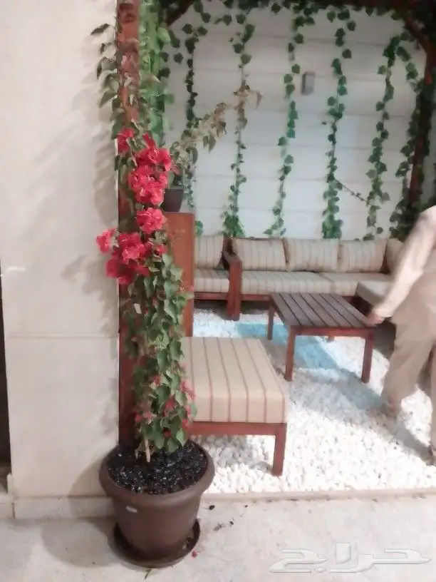 تنسيق حدائق وجلسات وزراعة لاحواض 7