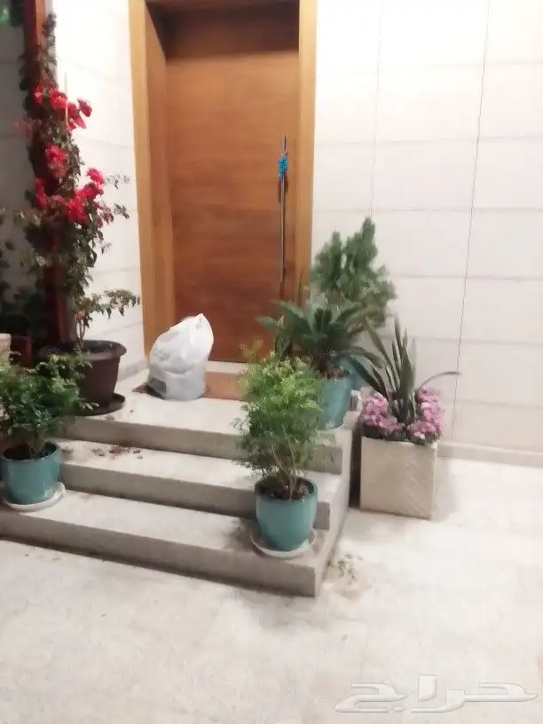 تنسيق حدائق وجلسات وزراعة لاحواض 6