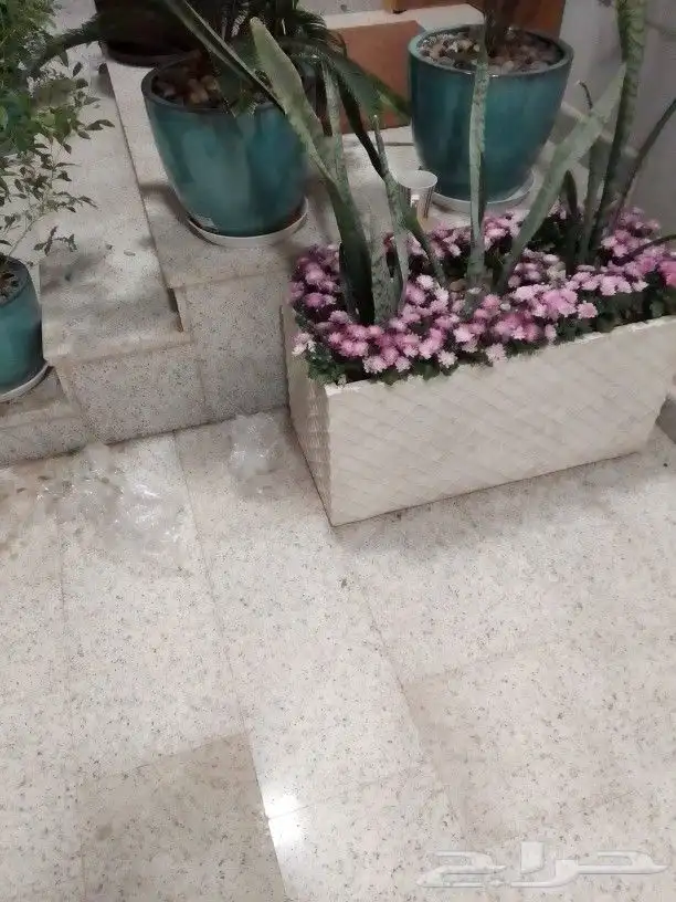 تنسيق حدائق وجلسات وزراعة لاحواض 2