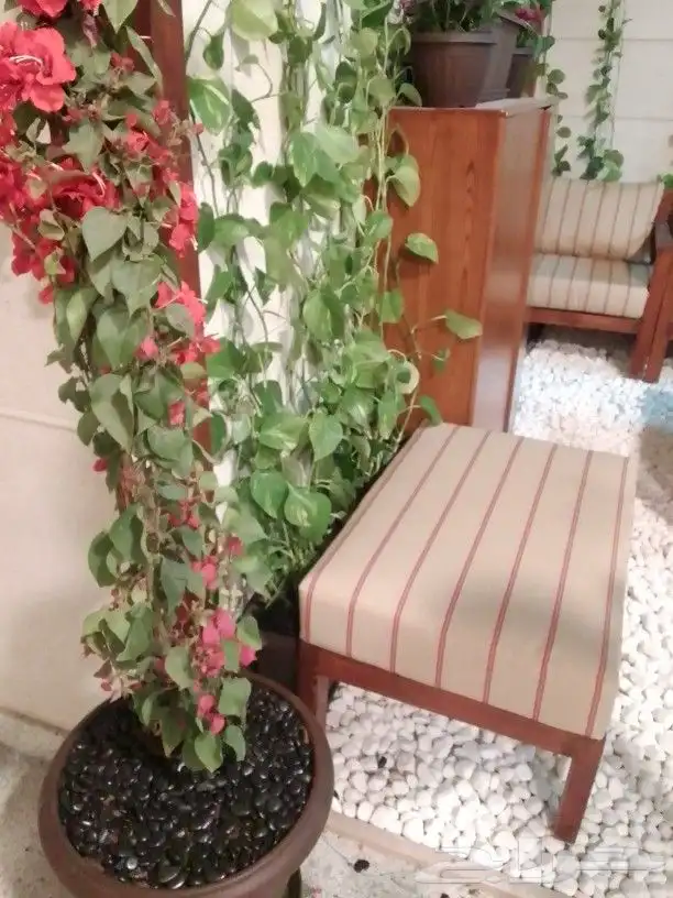 تنسيق حدائق وجلسات وزراعة لاحواض 4