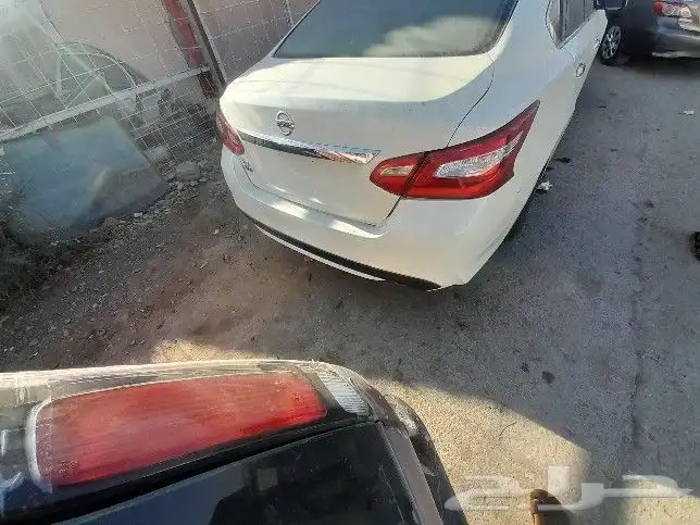 نسيان التيما 2018 4