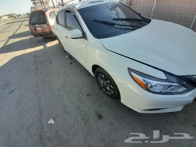 نسيان التيما 2018 3
