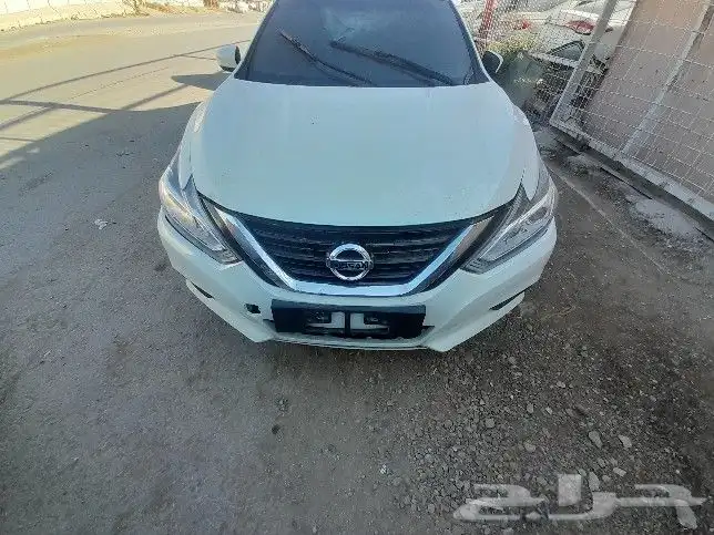 نسيان التيما 2018 6