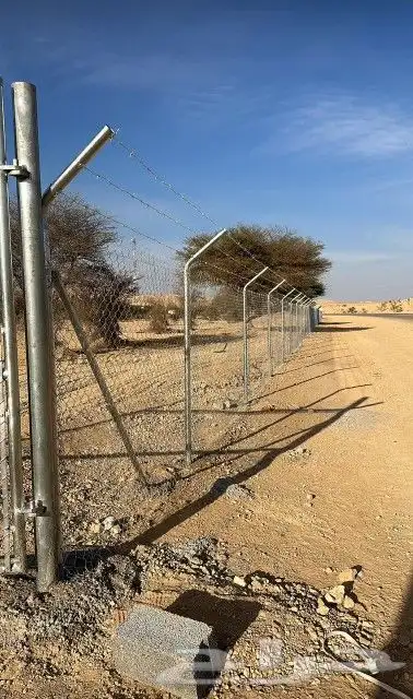 شبوك مزارع الرياض المزاحميه الجله تبراك القويعية 7