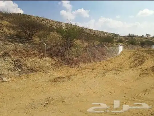 مقاول شبوك مزراع شبوك اراضي 5