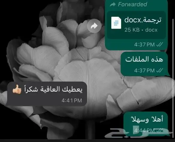 ترجمة معتمدة 6