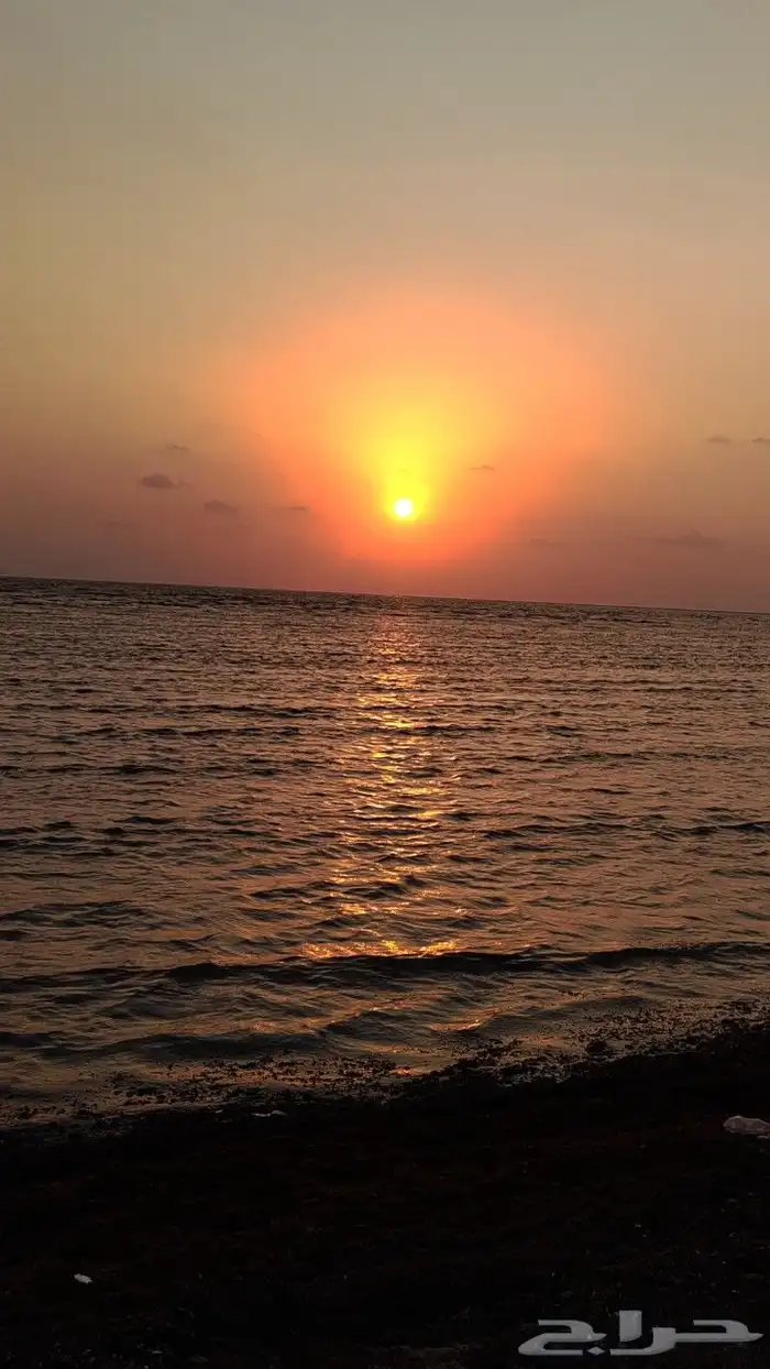بيع قصائد بالطلب 0