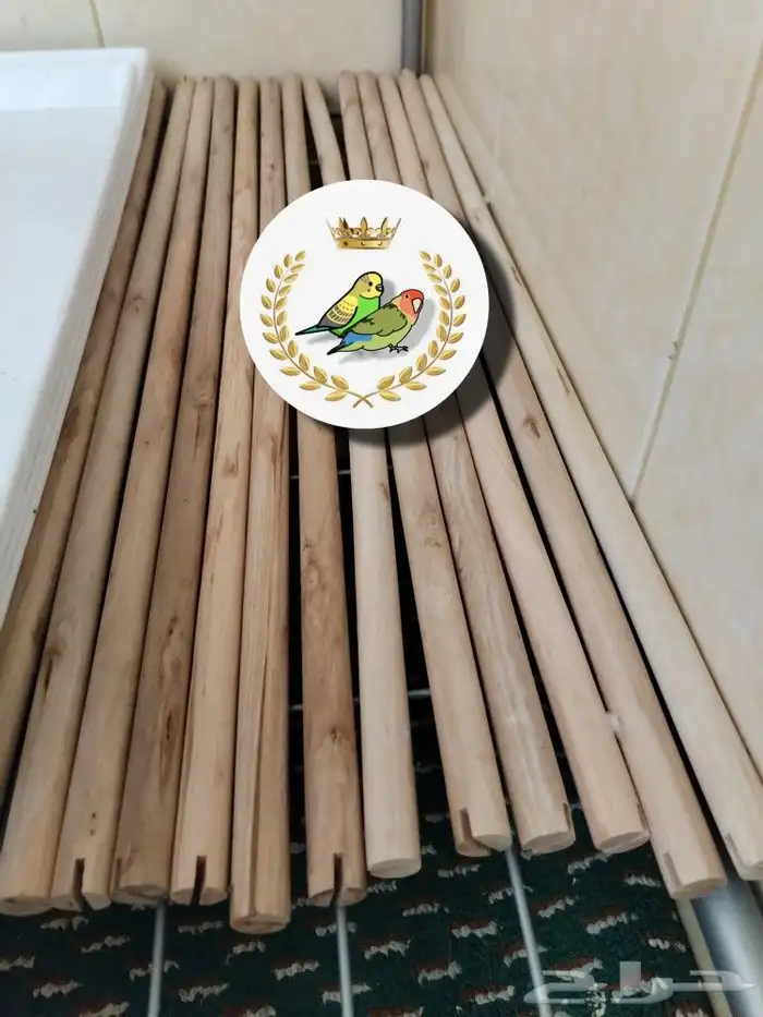 مجاسم واستاندات قفص 601 0