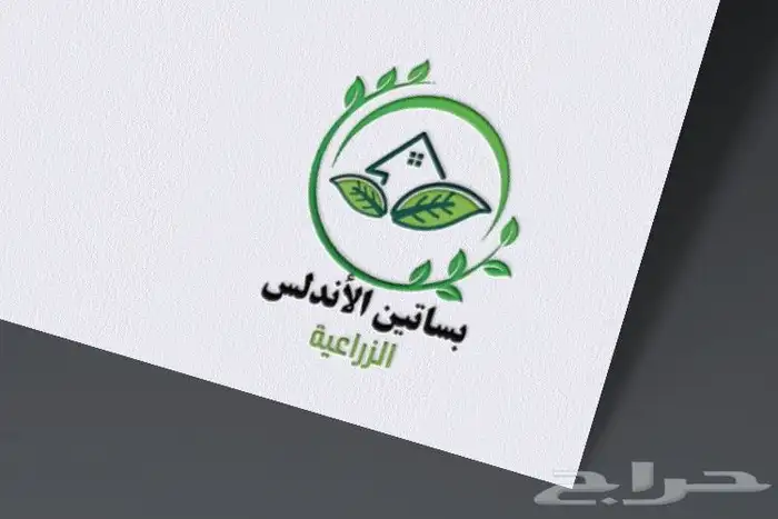 مصممه جرافيك و لوجو وهوية بصرية 5