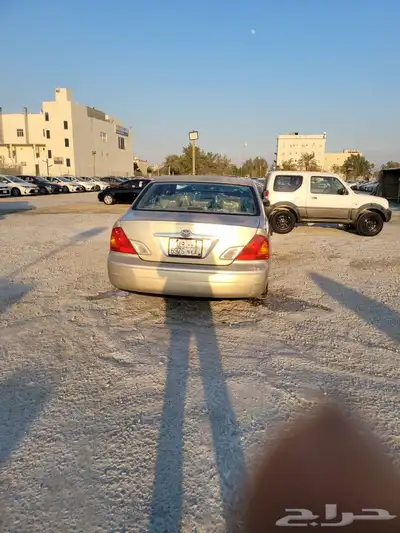 القطيف 3