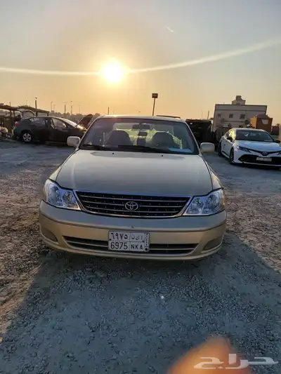 القطيف 0