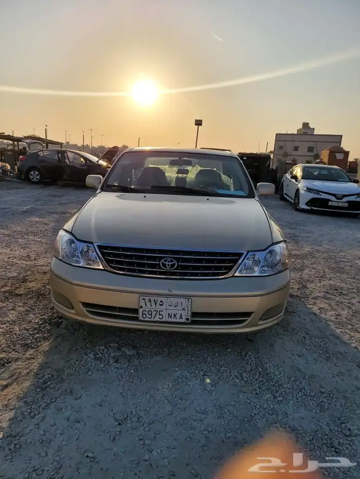 القطيف 0