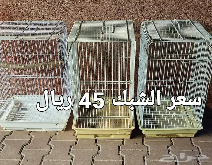 شبوك مستخدمه اقفاص للببغاوات 0