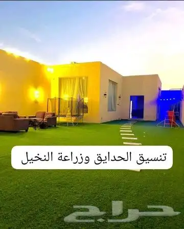 يوجد لدينا جميع انواع النخيل المثمر والزينه جميع انواعه ومقا 9