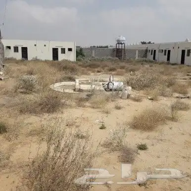 مستودعات غرف في بيش للإجار او للبيع 6