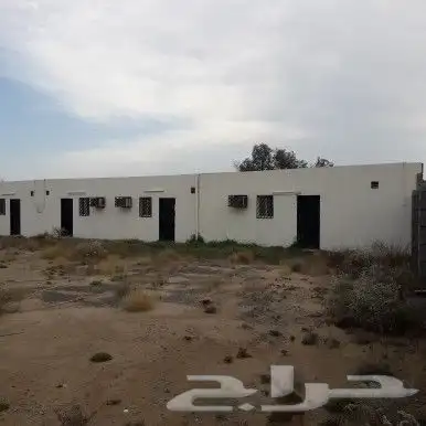 مستودعات غرف في بيش للإجار او للبيع 5