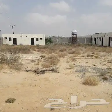 مستودعات غرف في بيش للإجار او للبيع 4