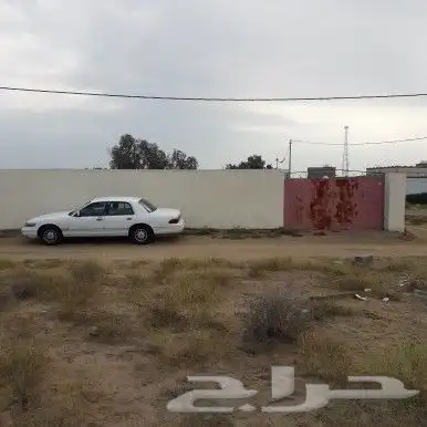 مستودعات غرف في بيش للإجار او للبيع 9