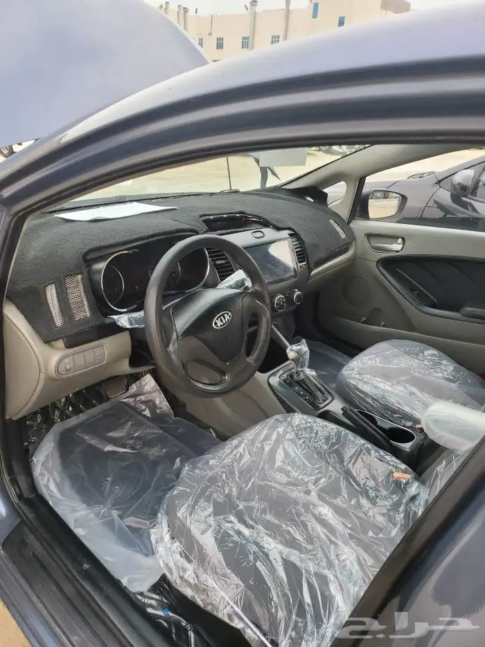 القطيف 4