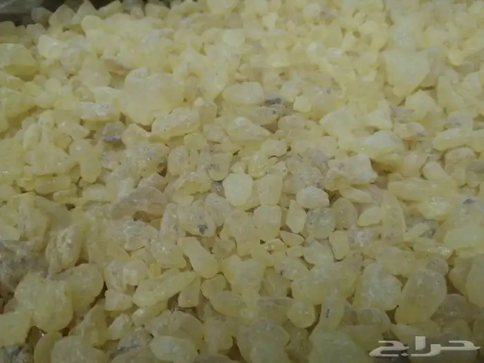 مستكة اندونيسي فاخرة درجة الأولى صافية النقي ونظيف 2