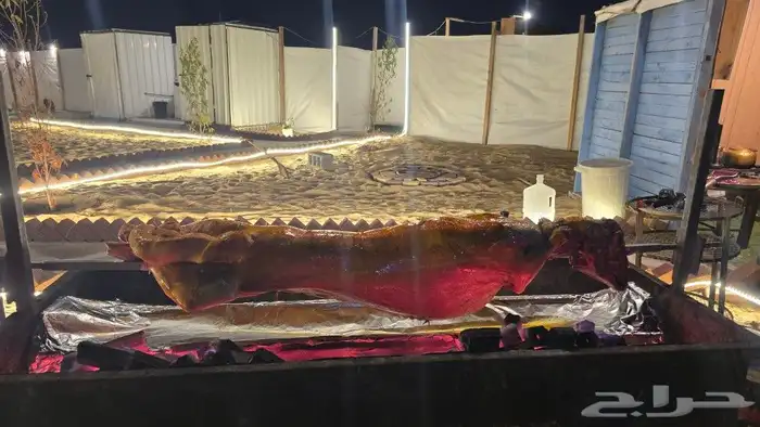 الخروف المشوي تغطيتنا اليوم في الدمام 2