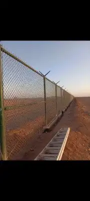 زراعه نخيل 6