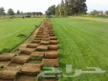 تنسيق حدائق جدة و مكه 9