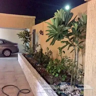 تنسيق حدائق جدة و مكه 12