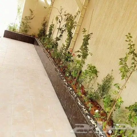 تنسيق حدائق جدة و مكه 13