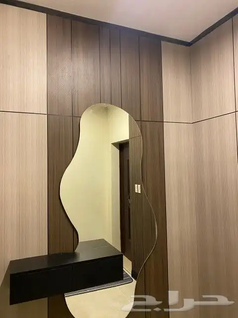 ديكورات المالك الحديثه اصباغ ترميمات عامه 4