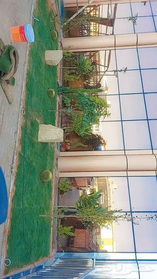 تنسيق حدائق 8