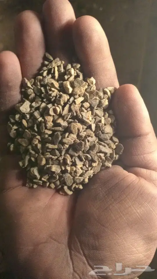 ابو سعد لجميع انوع البطحا و الخرسان 8