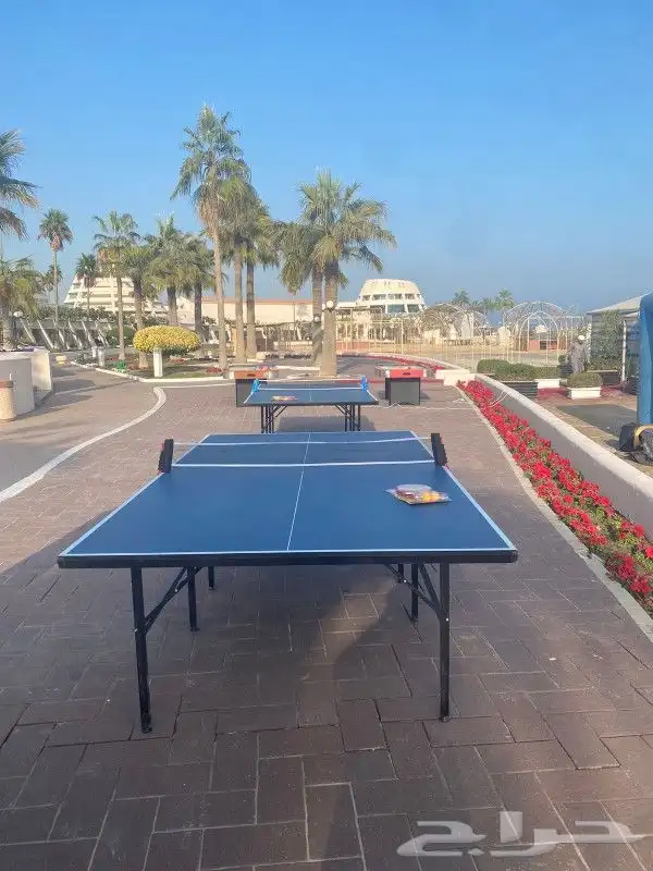 تاجير بلوت في الخبر 1