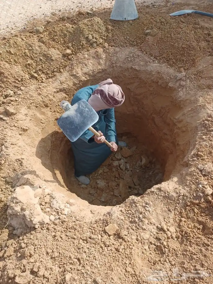 تركيب شبوك وزراعه النخيل والاشجار و بيت شعر 3