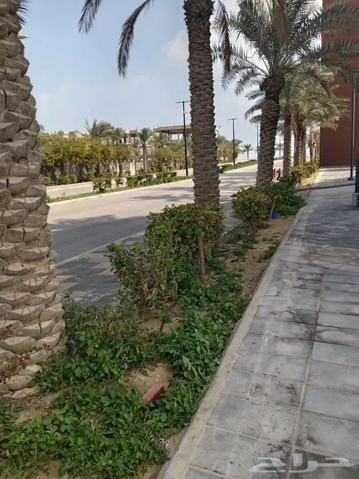 لزراعة وتنسيق الحدائق 2