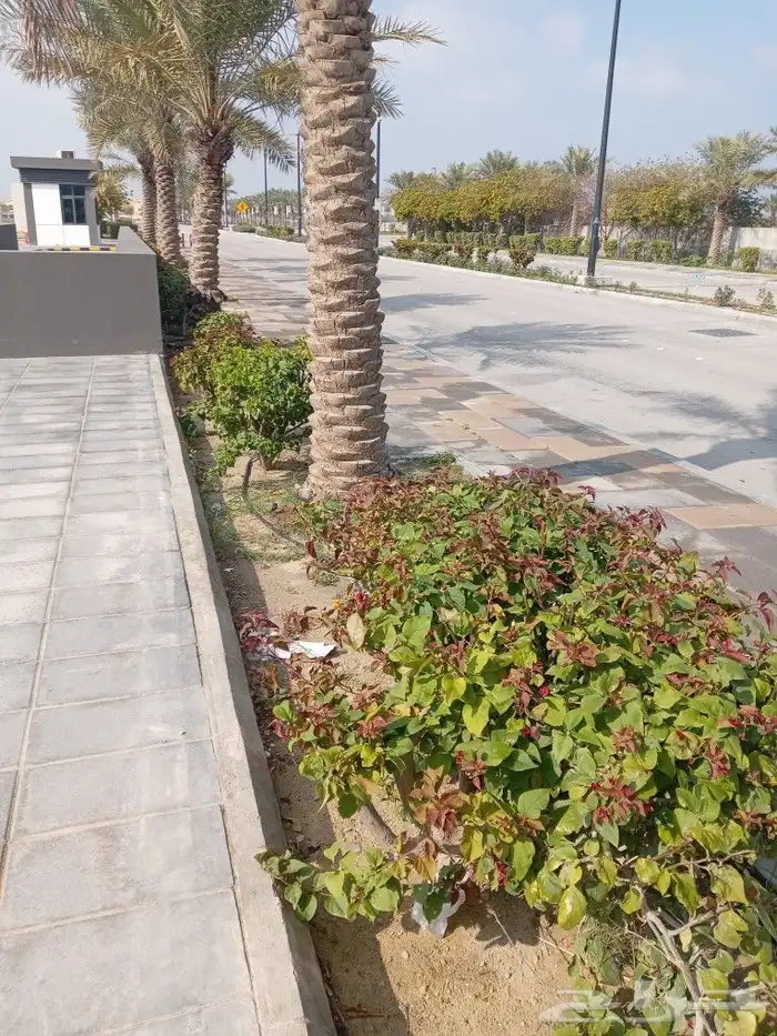 لزراعة وتنسيق الحدائق 0