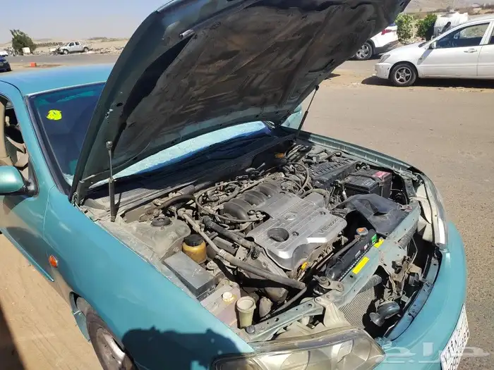 مكسيما 2004 على الشرط 0