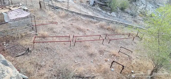 كراسي نحل للبيع 1