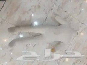 يوجد ديكور محل علاقات استندات مجسمات اطفال شناكر 4