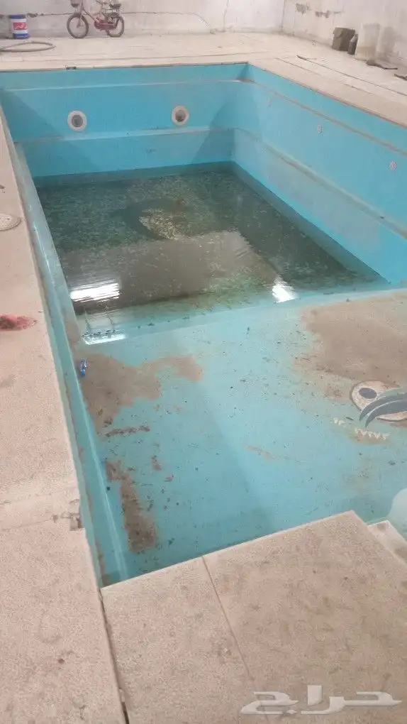 مسبح فيبر 4