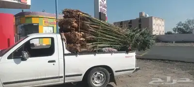 يوجد لدينا جميع انواع انخيل 2