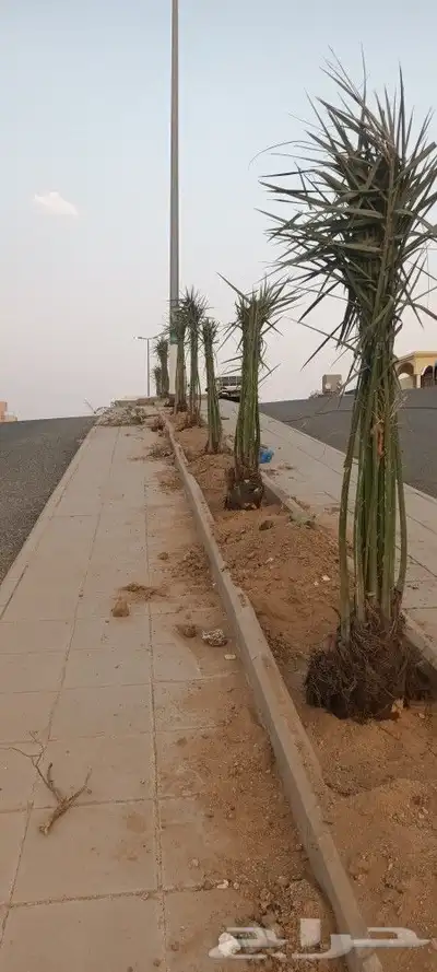 يوجد لدينا جميع انواع انخيل 8