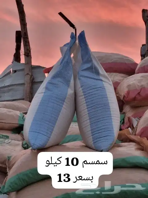 خبز و شابورة و كيك و سمسم 3