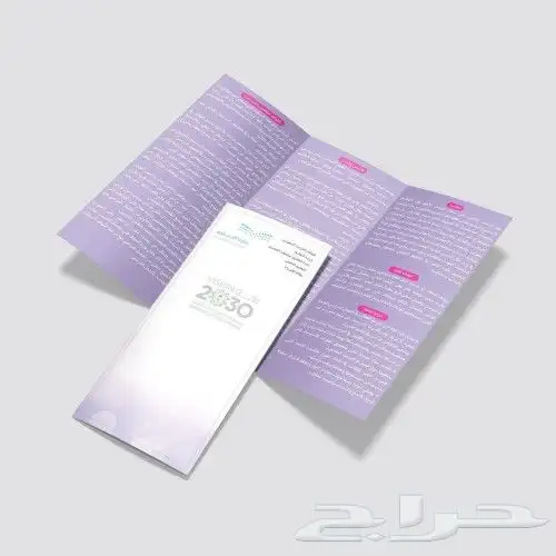 تصميم سيره ذاتيه باحترافيه cv انجليزي وعربي تصميم منيو 3
