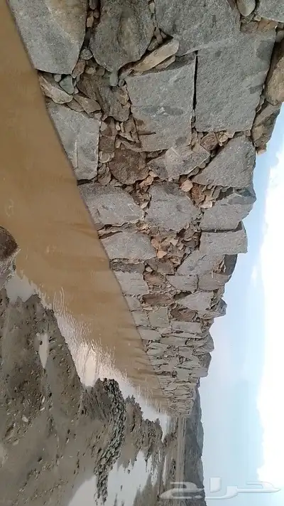 يوجد لدنيا بكلينات لبناء الحجر وهدم العماير وقص الارضي 0