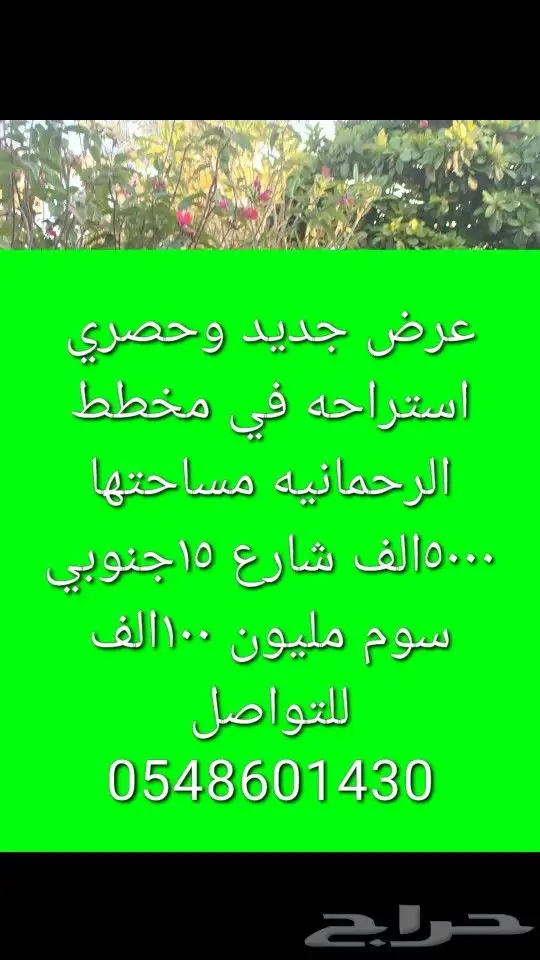 الخرج الهياثم العفجه نجديه الرحمانيه الشديده الرفايع العتيق 0