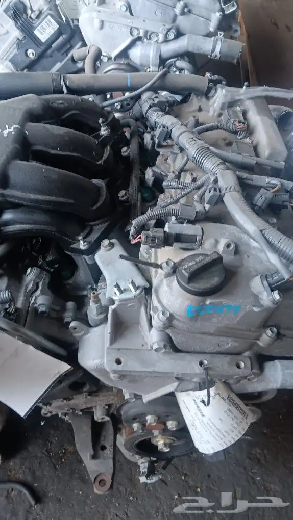 مكاين وجربكسات مستورده كوري يباني أمريكي جده حي قويزه 3