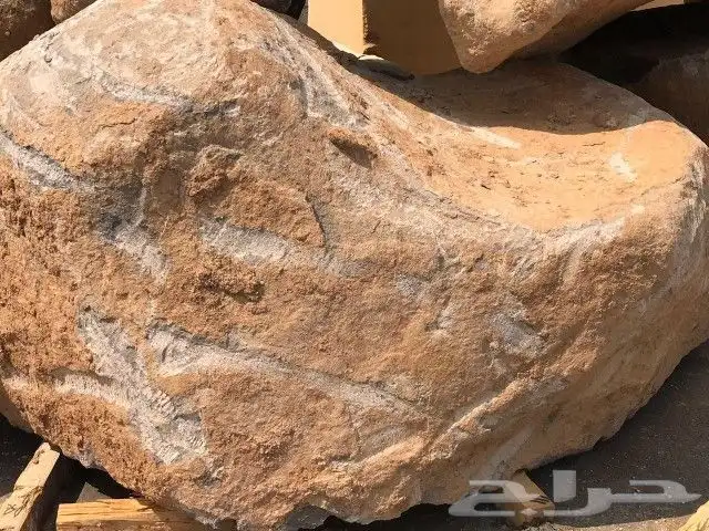 شغل تراث قديم حق الاجداد 5