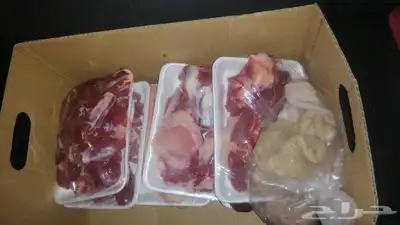طليان حرية ذبايح ممتااازة ومتميزة 2