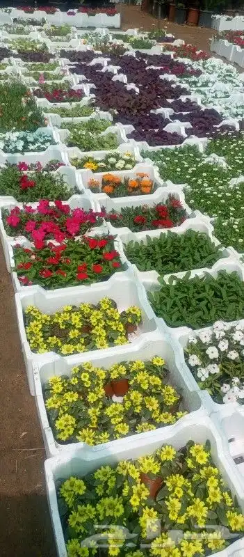 زراعه وحدائق 8